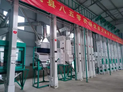 How to Choose the Right Rice Mill Capacity