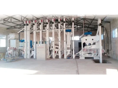 Grain Solutions for Latin America