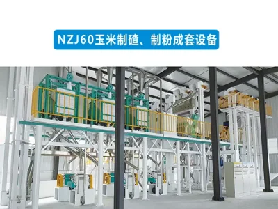 Maize Processing Solutions